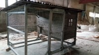 IMG_20170408_100922