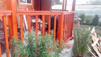 IMG_20170816_154909