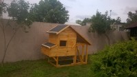 WP_20160714_10_45_30_Pro