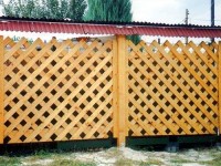 krasivye_zabory_na_dache_foto_267
