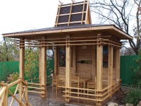 Китайская