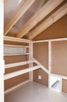 курятник35
